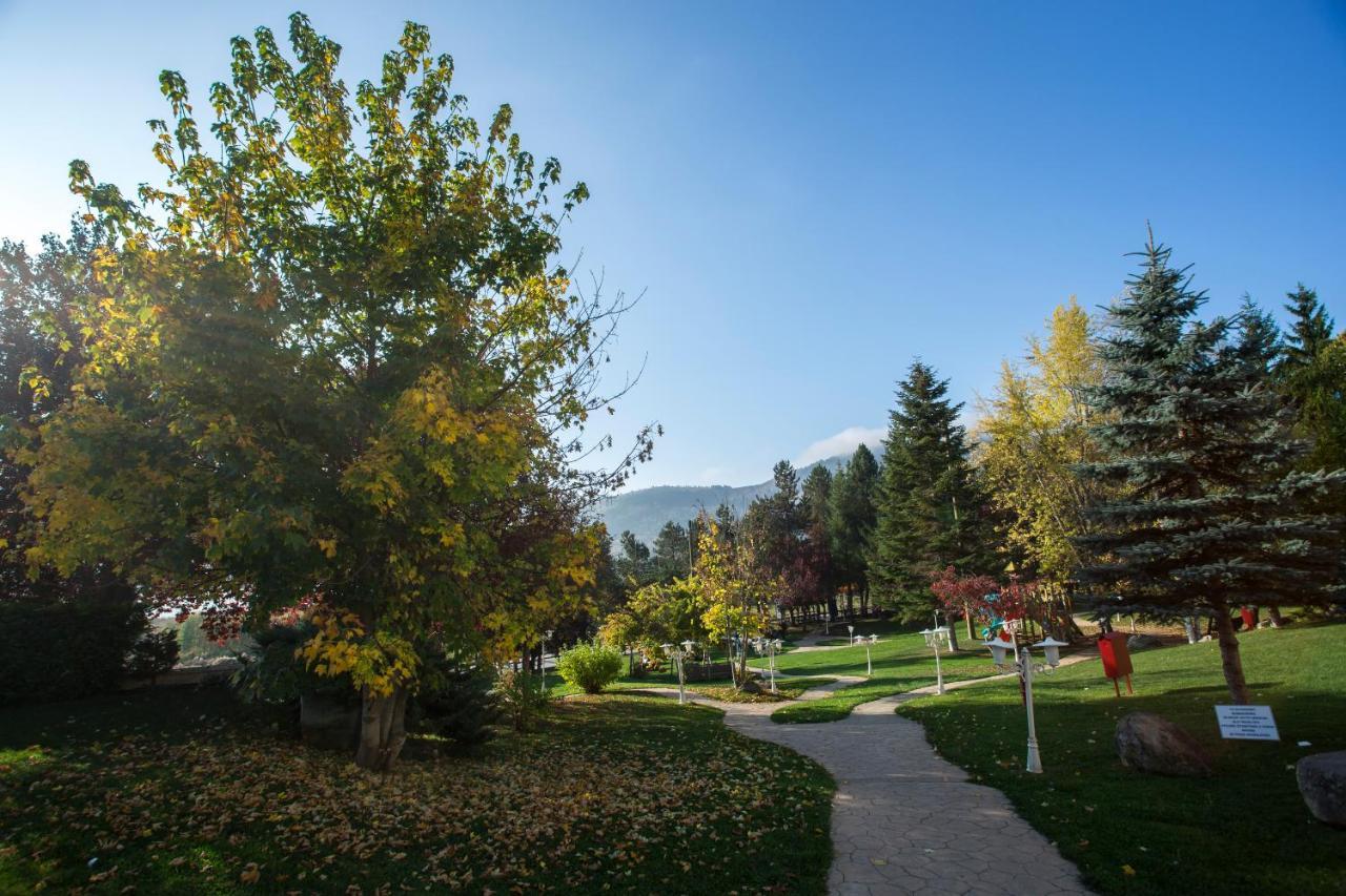 Abant Palace Hotel Εξωτερικό φωτογραφία